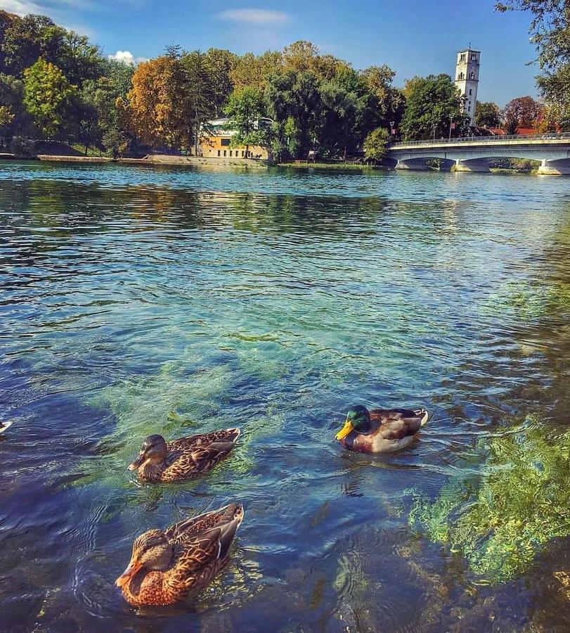 Apartman River Una Bihać Dış mekan fotoğraf